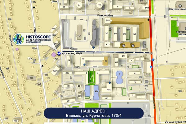 Центр гистологических исследований Histoscope. Наши координаты и реквизиты