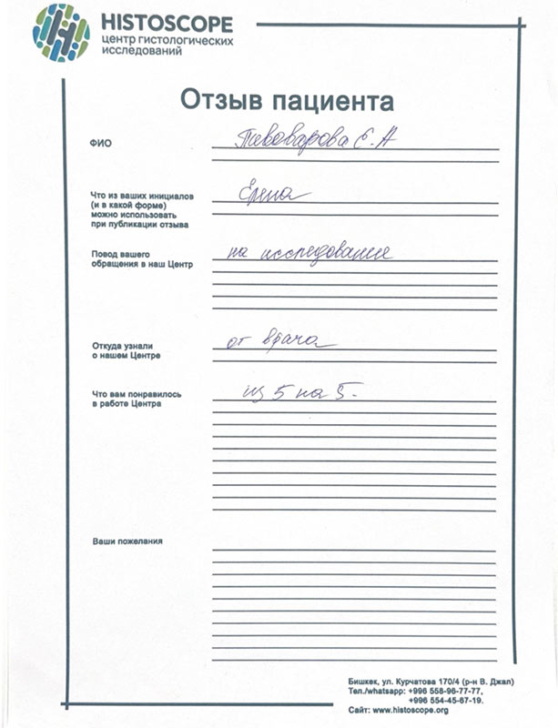 010 review pivovarova